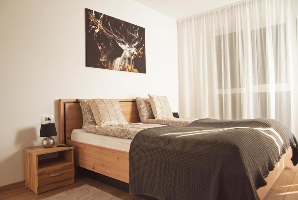 5 Dream Apartment 5 Cu Parcare Privata Nagyvárad Kültér fotó