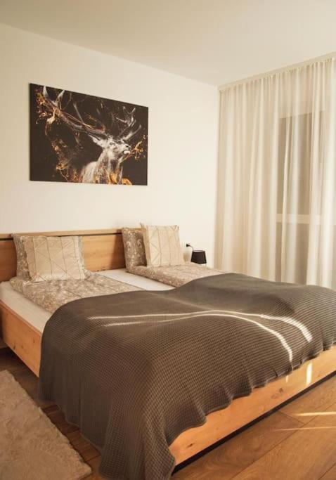 5 Dream Apartment 5 Cu Parcare Privata Nagyvárad Kültér fotó