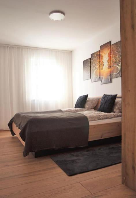 5 Dream Apartment 5 Cu Parcare Privata Nagyvárad Kültér fotó