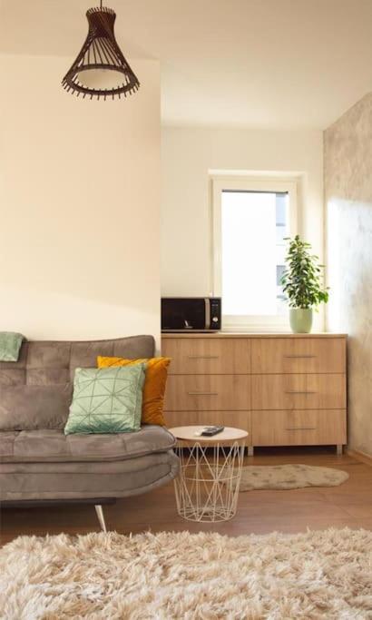 5 Dream Apartment 5 Cu Parcare Privata Nagyvárad Kültér fotó