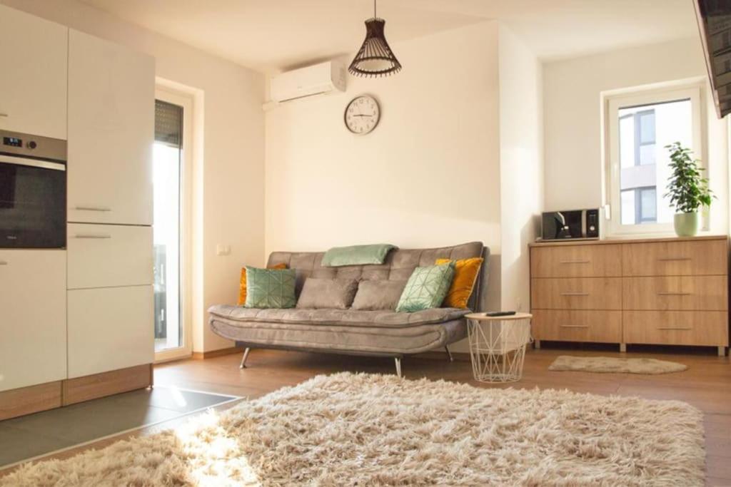 5 Dream Apartment 5 Cu Parcare Privata Nagyvárad Kültér fotó